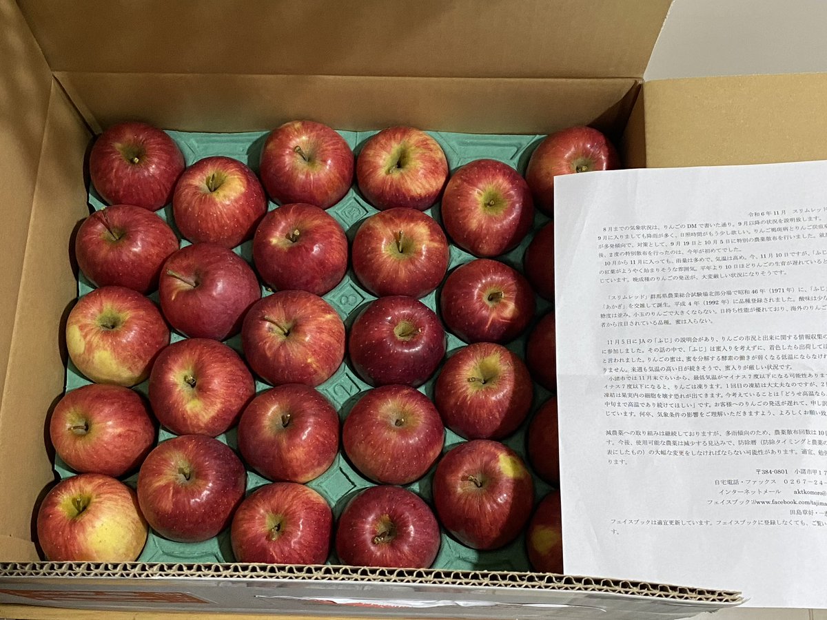 専用ページ　りんご大好き さま りんご好きさん - Search / X