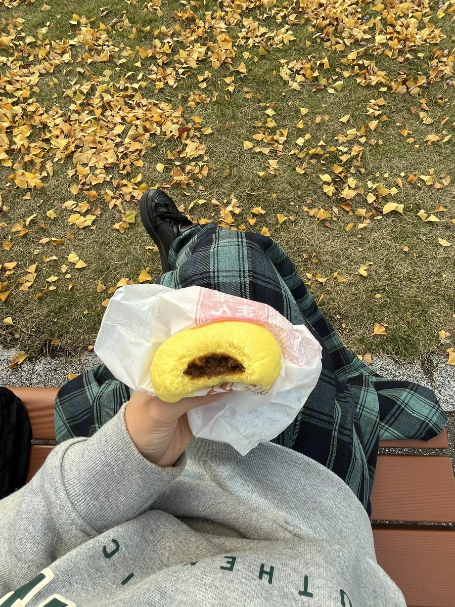 i_pl0o's tweet photo. 12℃🍂

イチョウの絨毯ができてきた✧︎*。 https://t.co/fcQUBglHG5