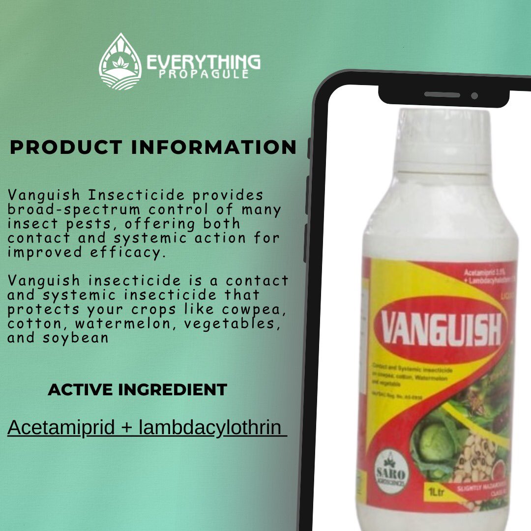 Naijaagrodealer's tweet photo. Vanguish Insecticide: Protect your crops like cowpea, Watermelon, vegetables etc
#indoorgarden #nigerianfarmer #everythingpropagule #farmersmarket #ibadan
βοΈ: 07014278603, 09154291827
π: Ibadan
βοΈ: 08074900960, 07043202459
π: Abeokuta https://t.co/X1nx2BOCXh