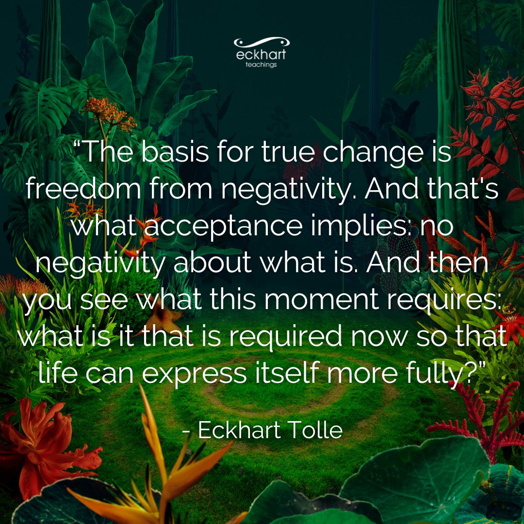 “The basis for true change is freedom from negativity. And that's what acceptance implies: no negativity about what is. And then you see what this moment requires: what is it that is required now so that life can express itself more fully?” - Eckhart Tolle