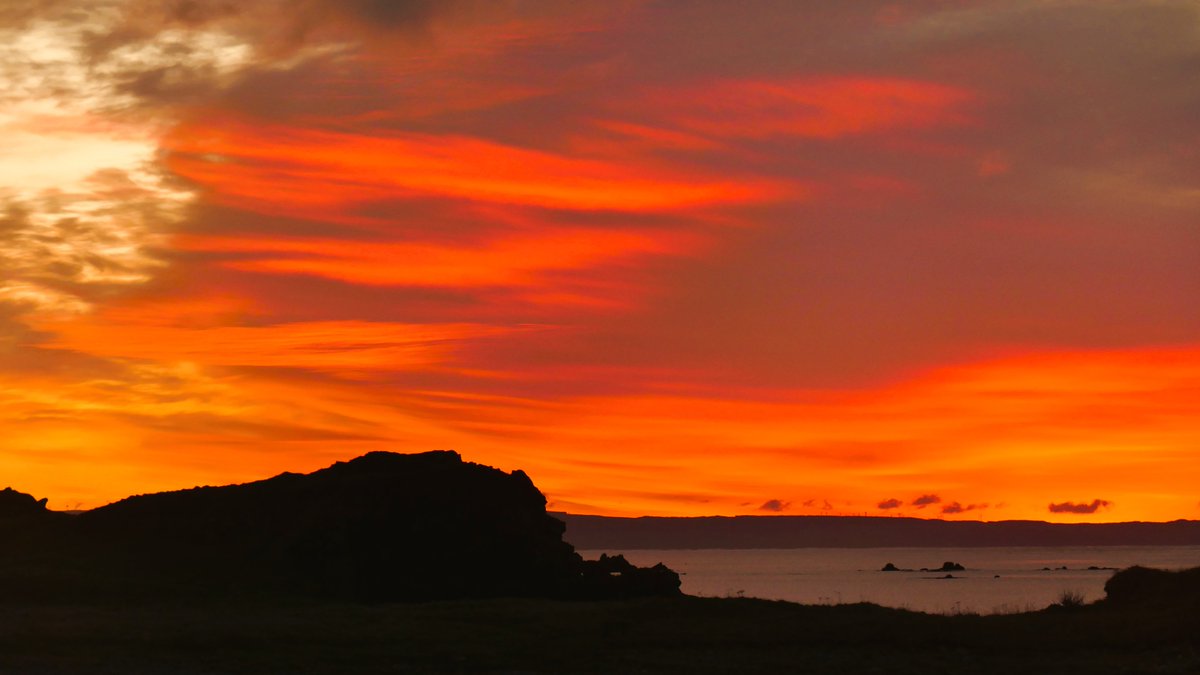 David Livingstone tweet media