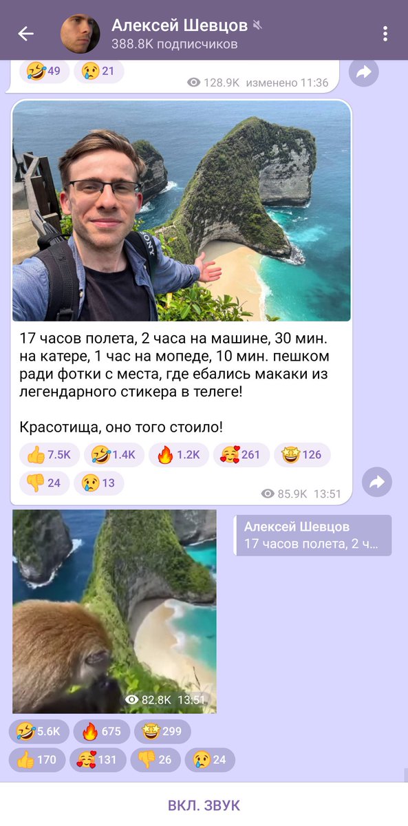 🌿𝐘𝐨𝐮𝐫 𝐬𝐮𝐧𝐬𝐡𝐢𝐧𝐞🌿 tweet media