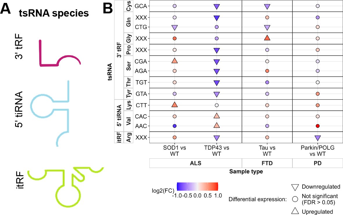 Prof Jochen Prehn (@profjochen) on Twitter photo Check out my new post on bluesky on tRNA fragment fingerprints in neurodegeneration <a href="/profjochen/">Prof Jochen Prehn</a>.bsky.social Check out my new post on bluesky on tRNA fragment fingerprints in neurodegeneration <a href="/profjochen/">Prof Jochen Prehn</a>.bsky.social