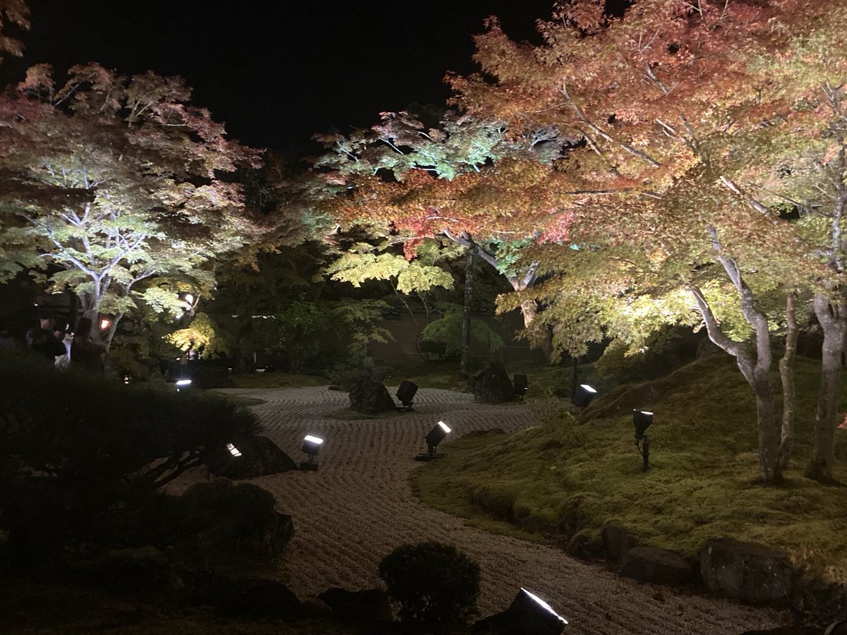 ume_moko's tweet photo. 松島の円通院のライトアップ
逆さ紅葉、また来年
#宮城県
#松島
#円通院
#紅葉
#もみじ
#ライトアップ https://t.co/bDNHFN3M8I