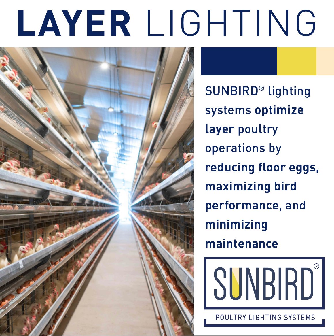 SunbirdLighting's tweet photo. Our SUNBIRD® 3W Aviary Lighting system is built for the future of egg production, supporting Aviary, Cage-Free, and traditional systems.

#sunbirdLED #SUNBIRDLighting #EggProduction #AviarySystems #CageFreeLighting #quickconnect https://t.co/w7RsHz7HoN