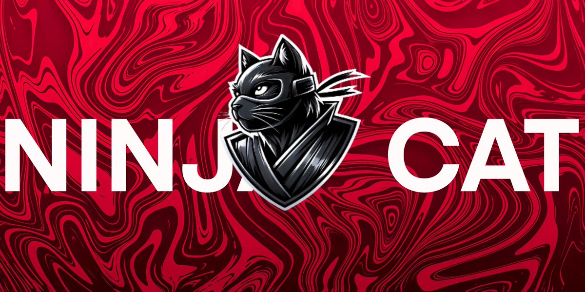 Ninja Cat tweet media