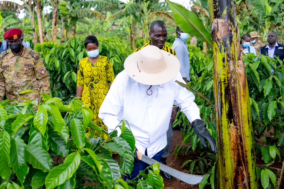 Gamba Mpurire (@radiowestug) on Twitter photo Purezidenti <a href="/KagutaMuseveni/">Yoweri K Museveni</a> arambwire za faamu ezirho enkora ya 4-acre model plan omu disiturikiti eya Kakumiro..
#WestUpdates Purezidenti <a href="/KagutaMuseveni/">Yoweri K Museveni</a> arambwire za faamu ezirho enkora ya 4-acre model plan omu disiturikiti eya Kakumiro..
#WestUpdates
