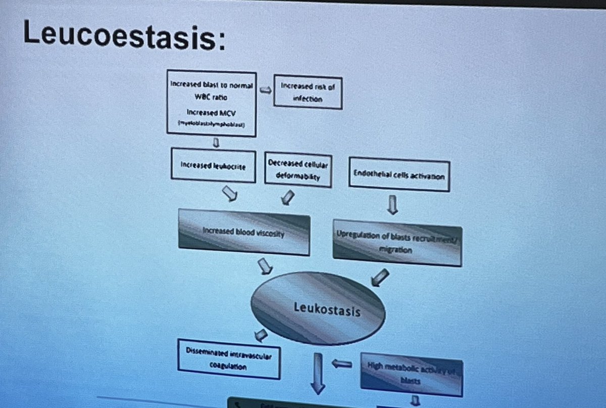 Gimenads's tweet image. Última entrega de Manejo de Complicaciones Hematológicas en la Urgencia a cargo de la Dra. Tripodi. Hiperleucocitosis &amp;amp; Leucostasis . Hospital Militar . #hematology #leukemia