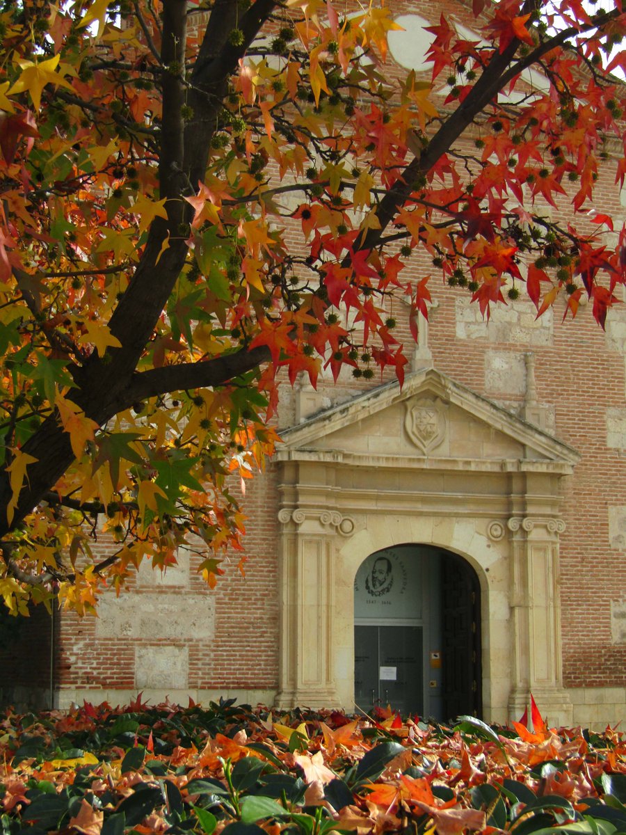 La Capilla del Oidor vestida de otoño, en su interior se conserva la pila bautismal de Miguel de Cervantes  

#AlcalaDeHenares #Otoño2024