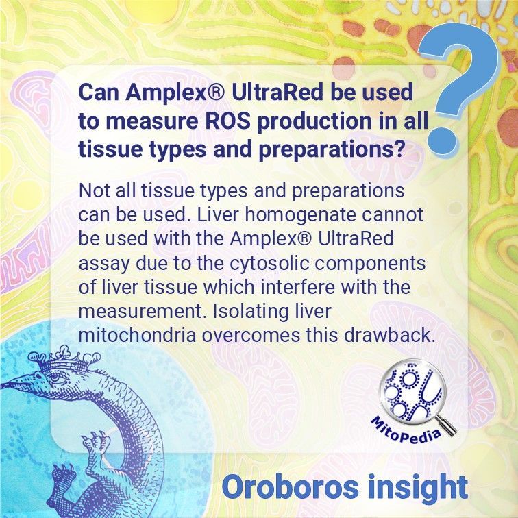 OroborosI's tweet image. Know the limits of your assay and sample preparations. For example, Amplex® UltraRed isn’t suitable for liver homogenate.
Learn more:
buff.ly/3Cm6QMi
buff.ly/4eARcdq

#HighResolutionRespirometry #MitoPedia #mitochondria