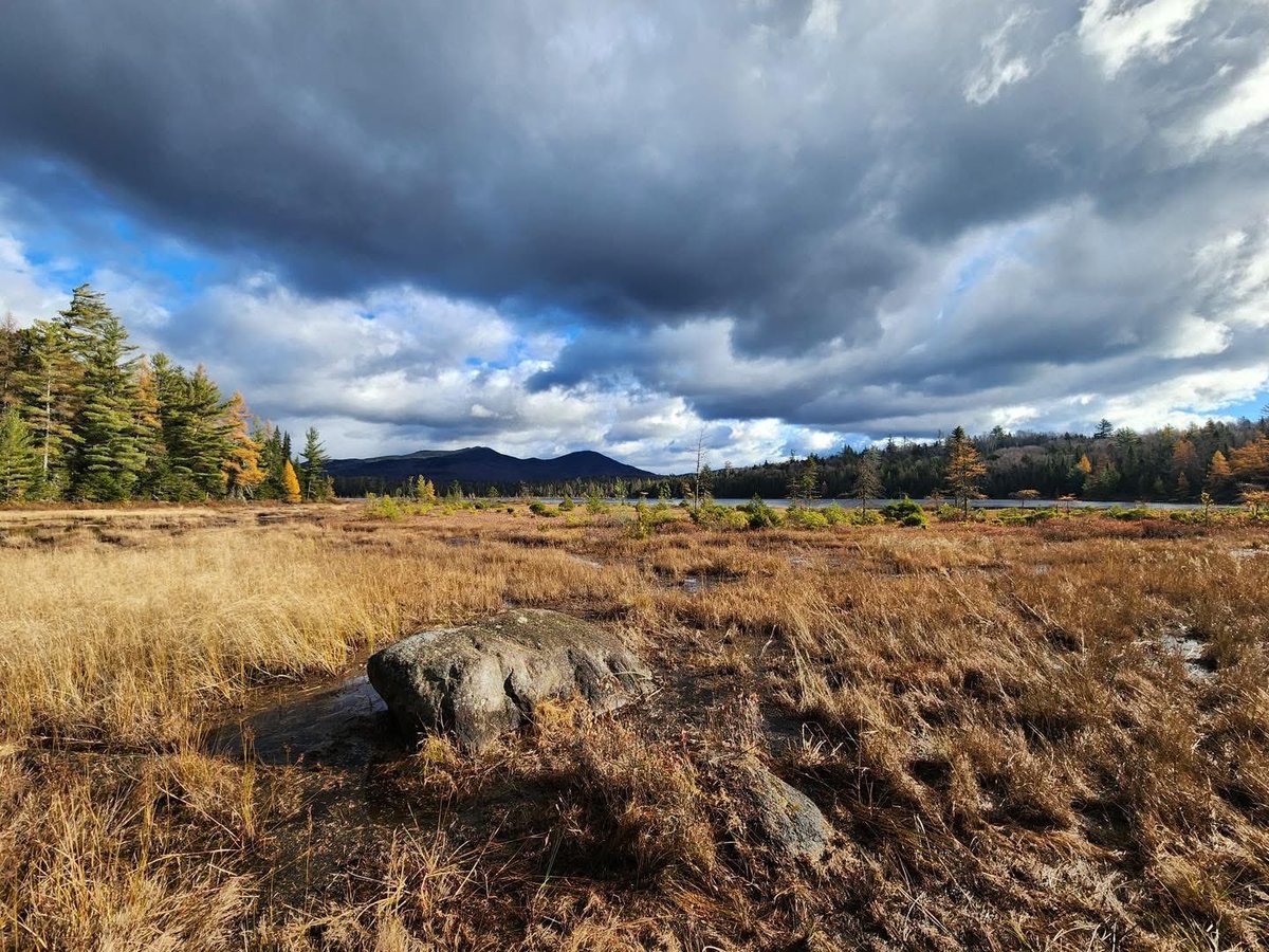 Good morning, #Adirondacks!
📍 Wolf Pond
📷 Aaron Noble
📷 the_noble_toolmaker
