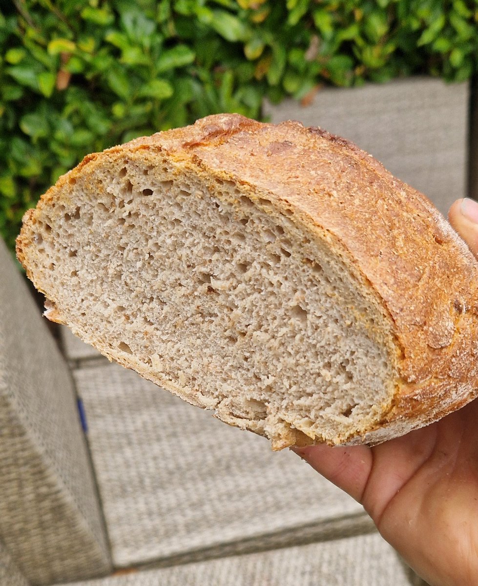 greedy_gardens's tweet image. Quite pleased with this one, I experimented with white, wholemeal and granary flour mixed with a wgite and wholemeal starter. #soughdough #bread #breadmaking