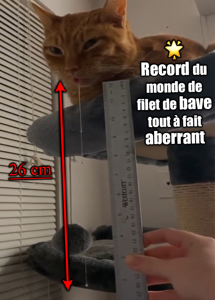 WiNY ʕ ᵔᴥᵔ ʔ (@win0g) on Twitter photo 