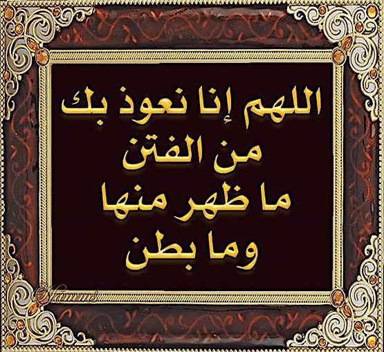 Faisal Alshammary tweet media
