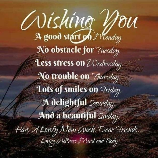 Lori Bauer🇨🇦🏒🥅🔥 tweet media