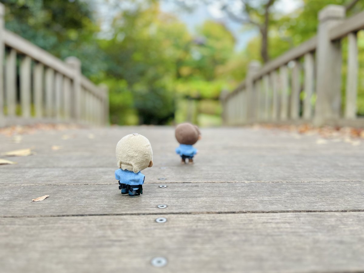 ころ寝 tweet media