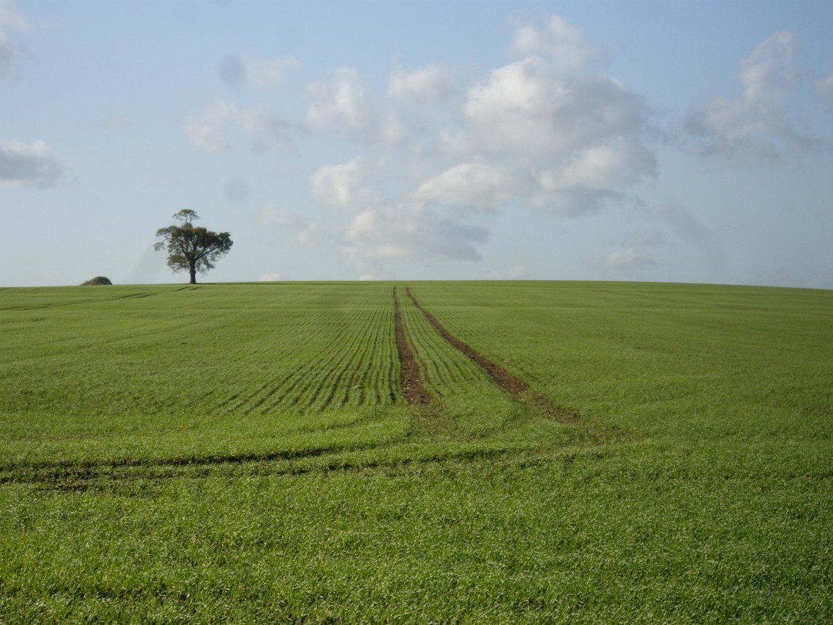 BFS Fertilisers tweet media
