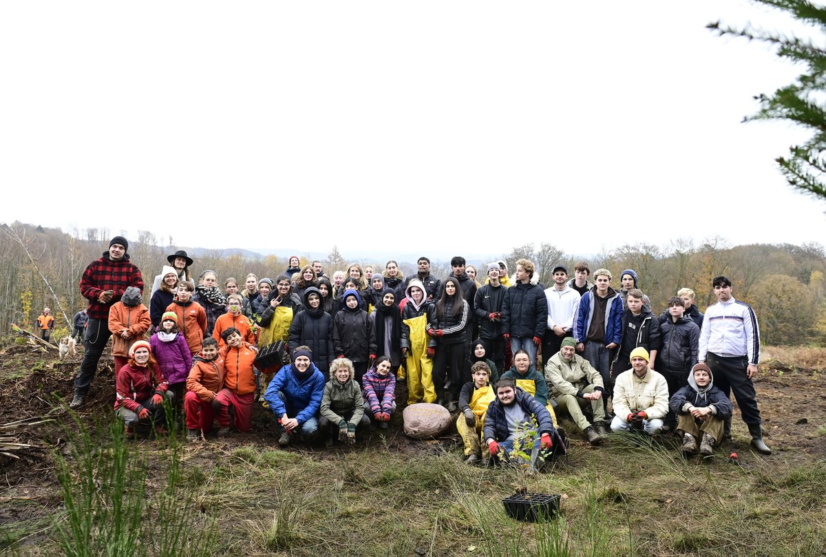 Mit 80 Menschen wurde am vergangenen Samstag unser erster #DEMOKRATIEWALD gepflanzt.
Mit Schülerinnen und Schülern der Anne-Frank-Gesamtschule Dortmund und der Blote Vogel Schule aus Witten und in Kooperation mit dem Bergwaldprojekt konnten 1000 Bäume in die Erde gebracht werden.