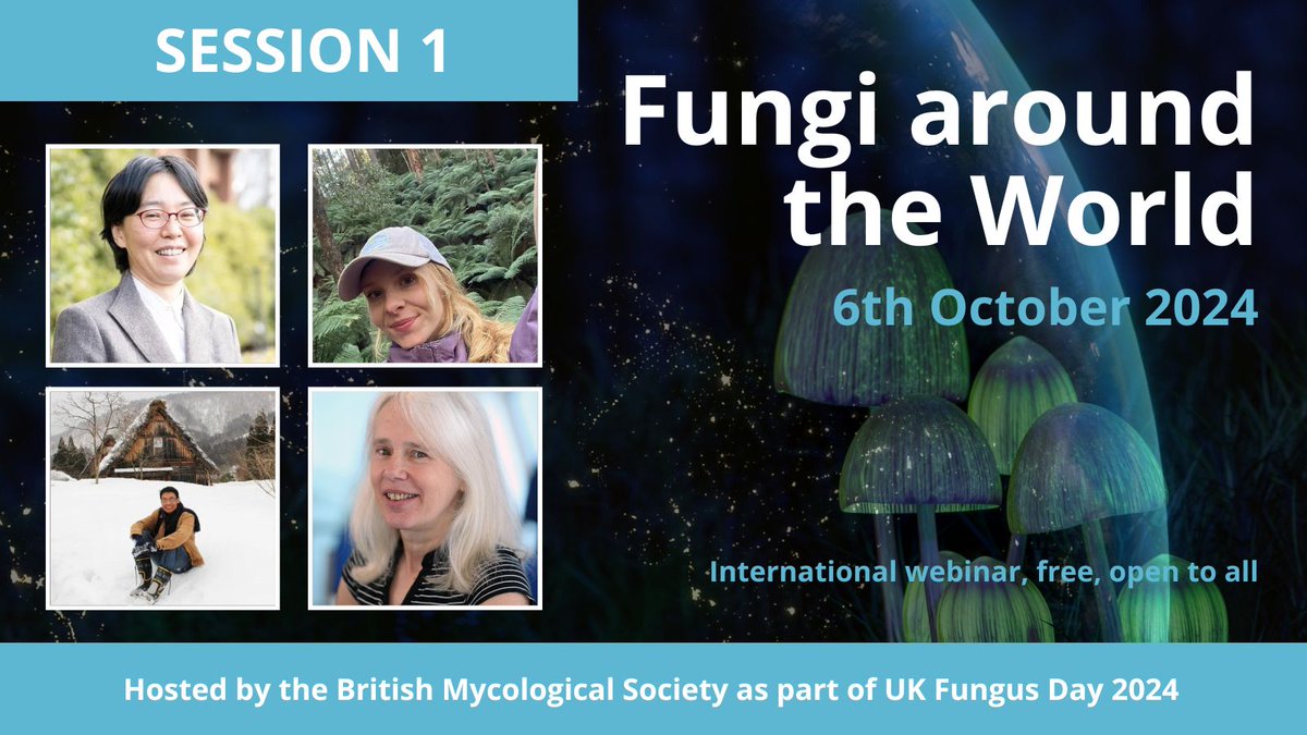 Watch 'Fungi around the World' - recordings now available! Mycologists from across the globe came together to deliver a webinar of #fungus talks to celebrate this year's #UKFungusDay. You can now watch the talks, here: britmycolsoc.org.uk/resources/even…