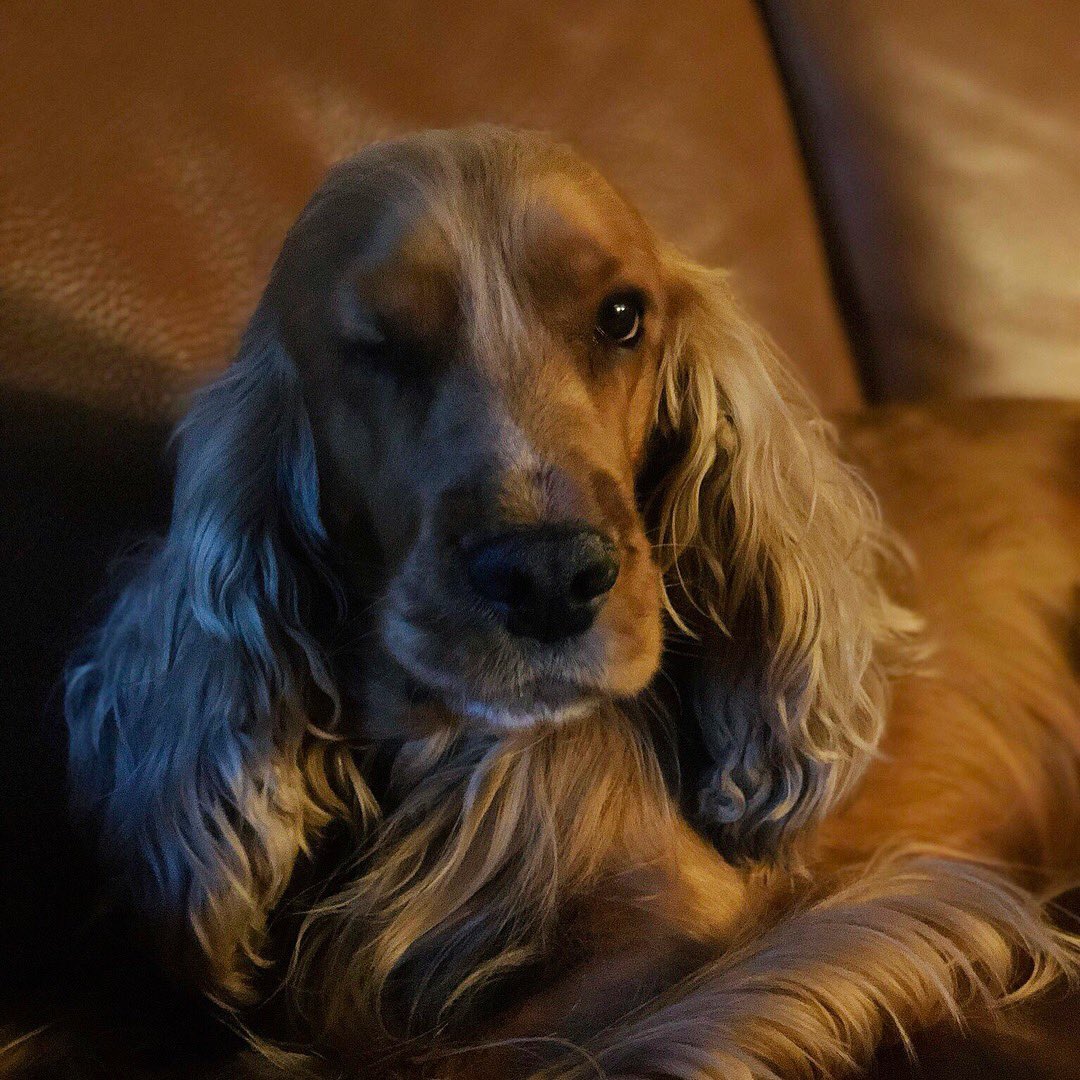 no, my name is alex tweet media