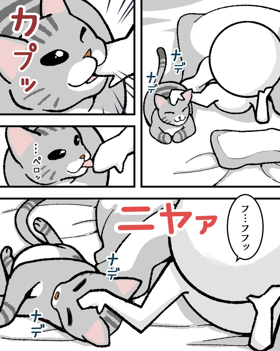 毎晩これ
#猫漫画  #漫画が読めるハッシュタグ 