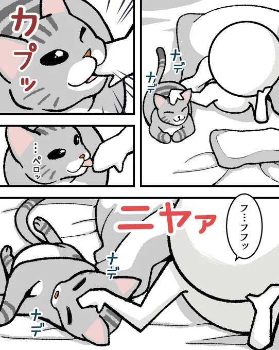 毎晩これ
#猫漫画  #漫画が読めるハッシュタグ 