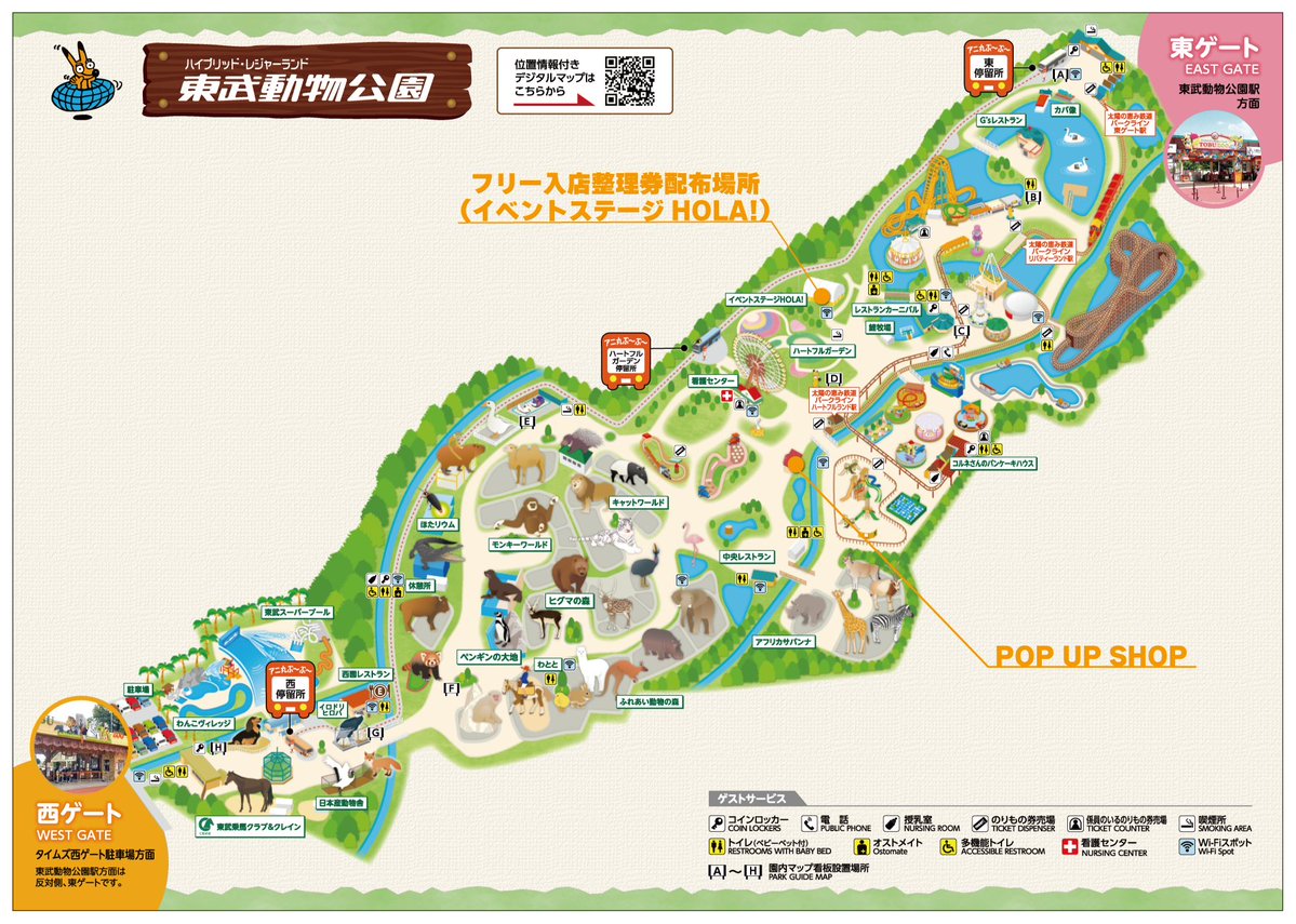 鬼滅東武動物公園】鬼滅の刃 ポストカード 東武動物園 炭治郎 義勇