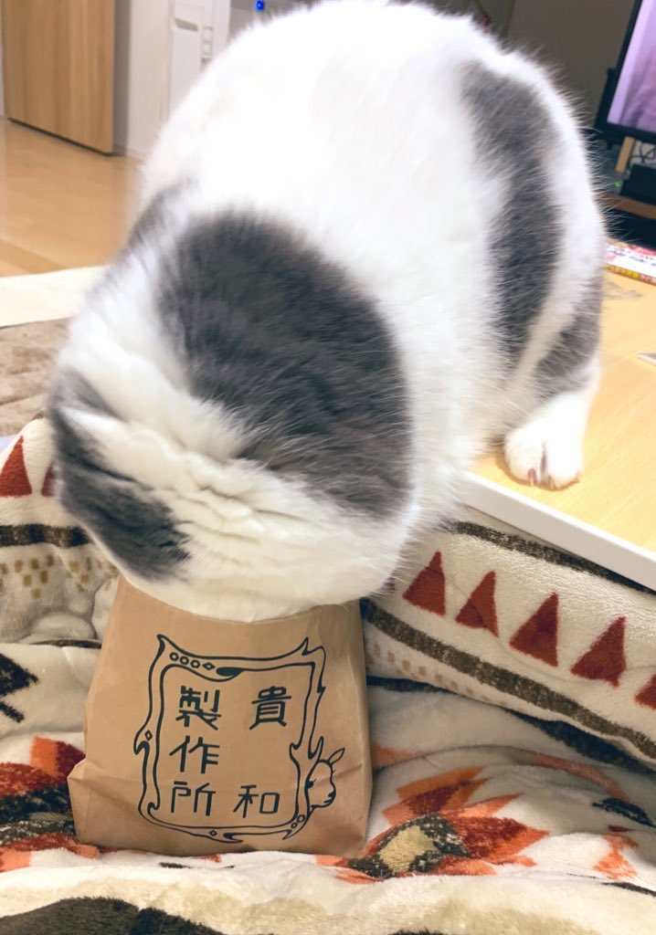 sironogame's tweet photo. これ https://t.co/bOmMVn7FZ1