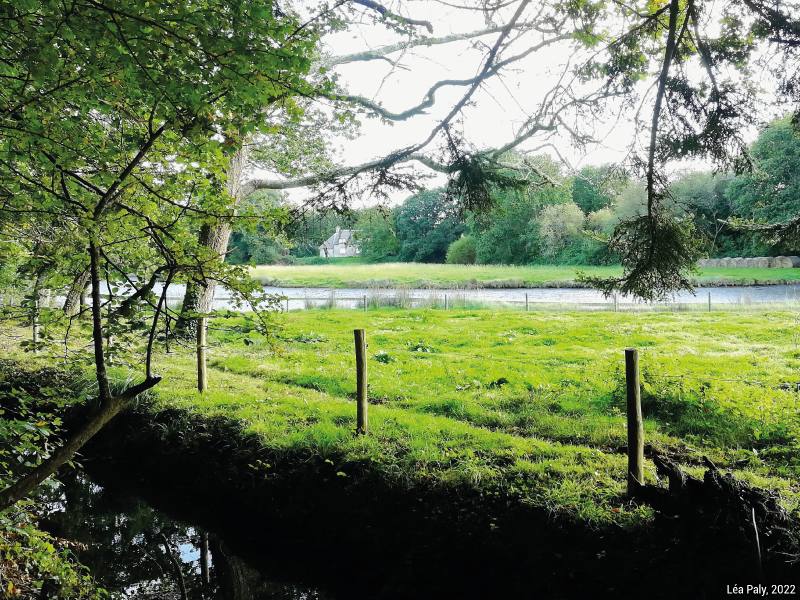 Geoconfluences's tweet photo. « Zones humides du littoral atlantique français, des patrimoines hybrides à la lumière de la démarche géohistorique » 🌾🐸🦆
par Léa Paly de @LeMansUniv
#LittorauxFrance #CapesHG #AgregGéo
https://t.co/bauV2NtaQ5 https://t.co/YaAwEhIyZZ