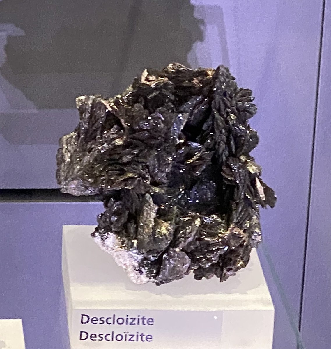 andersonmineral's tweet photo. Another piece of art that reminds me of a mineral. This piece is called “When Rubber Meets the Road” by Gerard Beaulieu, to symbolize the collision between the human and animal worlds. It reminds me of this feathery descloizite. #MineralMonday #CoolCuriosities #GeoscienceTwitter https://t.co/HE0joQUhK0