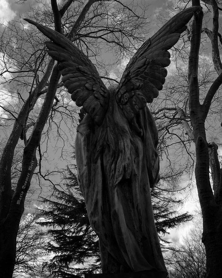 𐱃 (@swordandland) on Twitter photo 