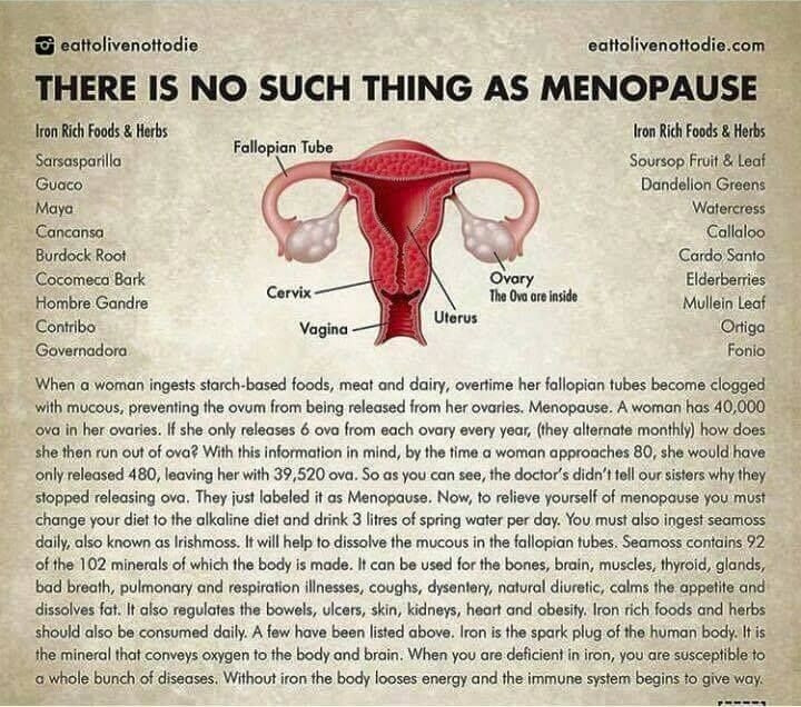 Bad Medical Takes tweet media