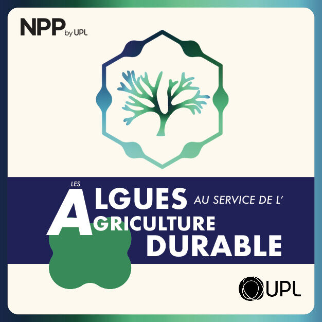 Envie d’en savoir plus sur le rôle des algues dans l’agriculture durable ? 🌱🌊
Notre podcast “Les algues au service de l’agriculture durable” est fait pour vous !
 
À écouter sur toutes vos plateformes préférées !  🎧#UPLCorpFrance #Biostimulants #PodcastAgriculture
