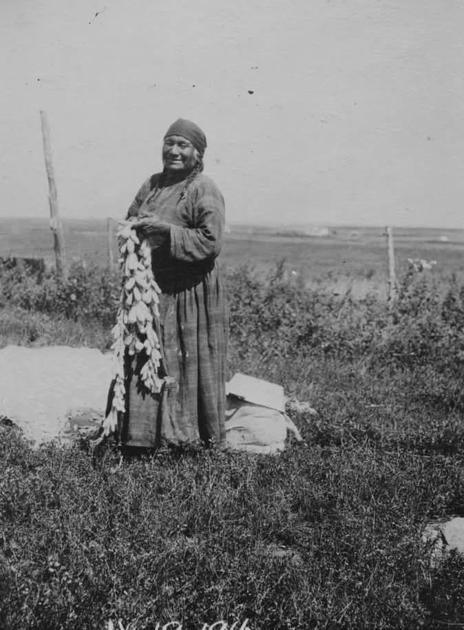 Native American Power🇺🇲 tweet media