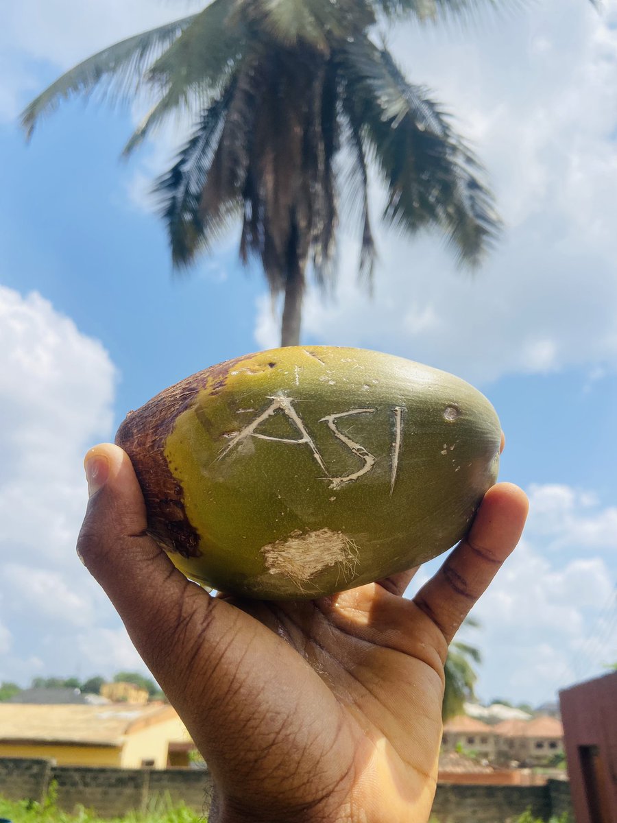 CJfrankie_13's tweet image. Let your environment inspire you—whether it’s casting it on a danfo bus writing  or blending it into the beauty of African landscapes. 🌞 @Snetafrica @SingularityNET @ASIAlliance_ @SNET_Ambassador #SingularityNet #ASIinAfrica — showcase your masterpiece 🎉🚀