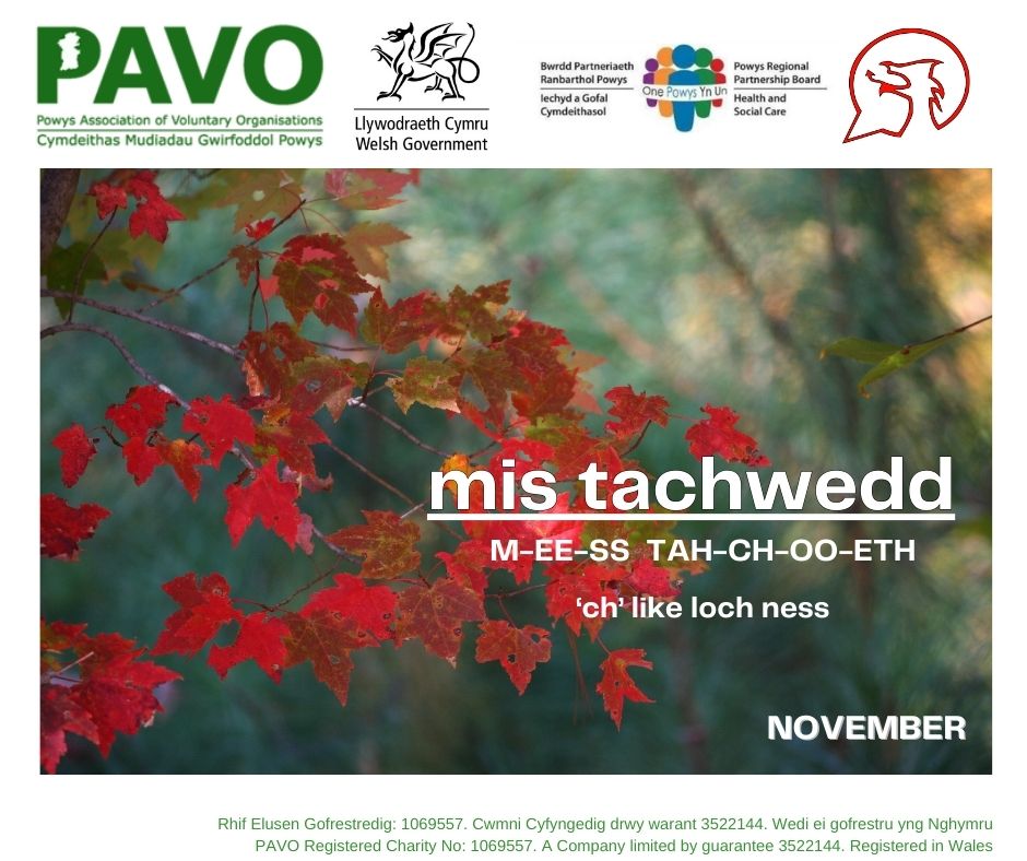 Prynhawn da! 
Dyma ymadroddiad yr wythnos hon. 

Remember to print off and encourage using these Welsh language phrases every week. 

#ycynnigrhagweithiolpowys #theactiveofferpowys #dysgucymraeg #siaradcymraeg #pavopowys