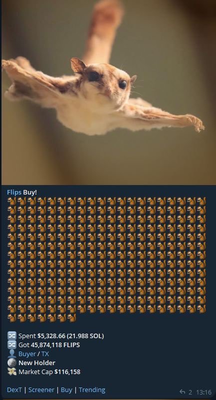 Gm 🐿️ #flipping #Flips