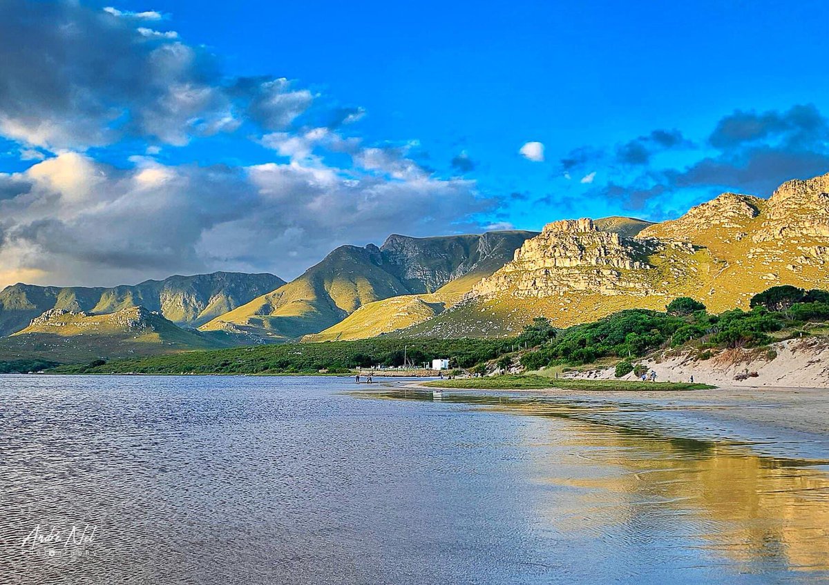 TraveloraTours's tweet photo. 🌍 Discover Cape Town like never before! From Table Mountain views to Cape Winelands tastings, wildlife encounters, and cultural gems like Bo-Kaap, we’ve got your adventure covered. 🗻🍷🐧

 Book your tour today! #CapeTown #TravelSA #ExploreCapeTown 

https://t.co/NBVo9Es74k https://t.co/jGBPhqMkKk