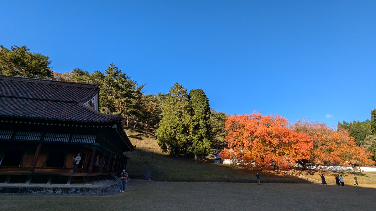 SunsetTommy's tweet photo. 24.11.18 Mon. やっと秋らしくなったと思ったら、もう今日は風が冷たい。でも秋晴れに誘われ、楷の木の紅葉？黄葉？を求めて閑谷学校へ。青空に映えてキレイでした(^^♪
＃旧閑谷学校 ＃備前市 ＃岡山県 ＃秋晴れ ＃史跡 ＃Bizen-city ＃Okayama-pref. ＃Japan ＃autumncolors https://t.co/WBGB64M5P1