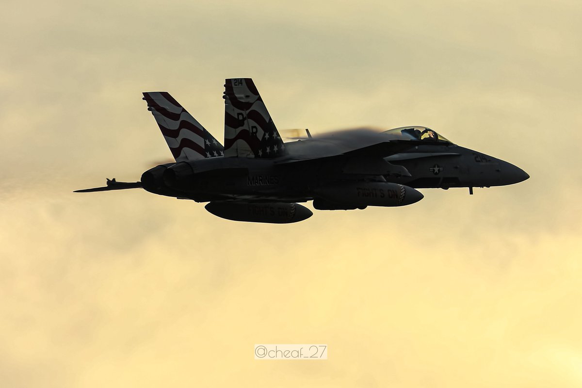 Cheaf_27's tweet photo. 2024.11.17(Sun.) RJNG #岐阜基地航空祭 
VMFA-312 F/A-18C Hornet DR214

本当に来てくれてありがとう🇺🇸
#Checkerboards #岐阜基地航空祭2024
#VMFA312 #FA18 https://t.co/SJmdLqsTMv