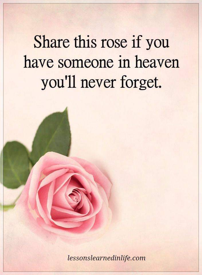 Fred Arshoff (@fredarshoff) on Twitter photo 