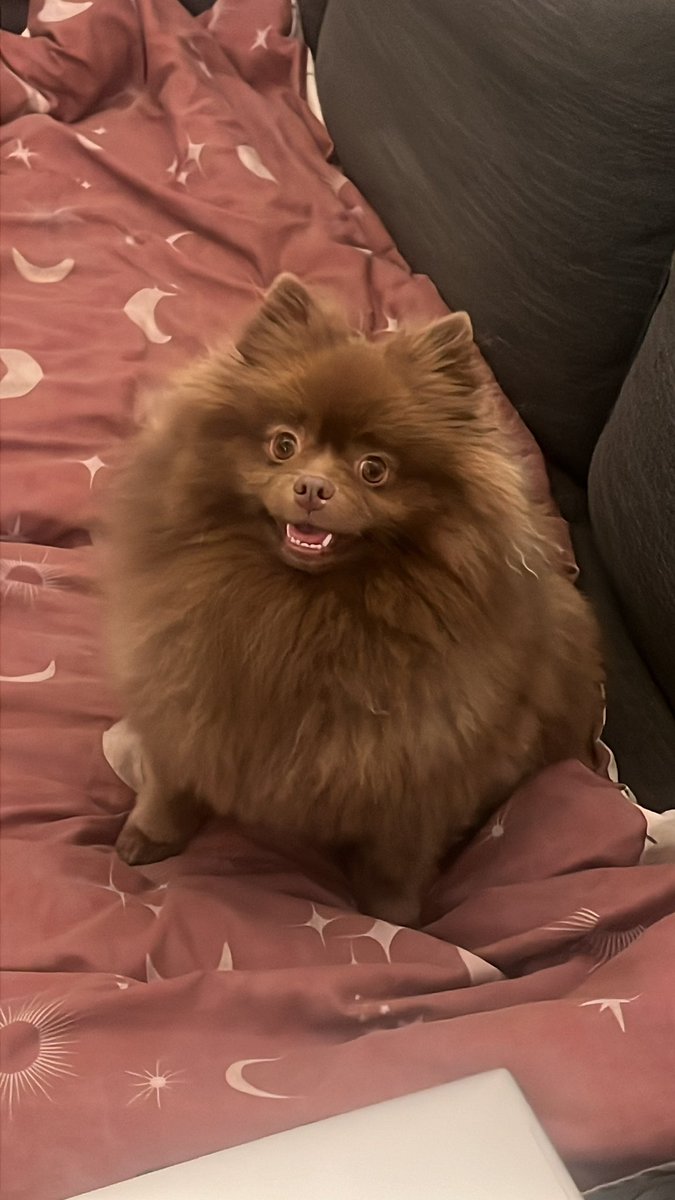 Kirby Downey tweet media