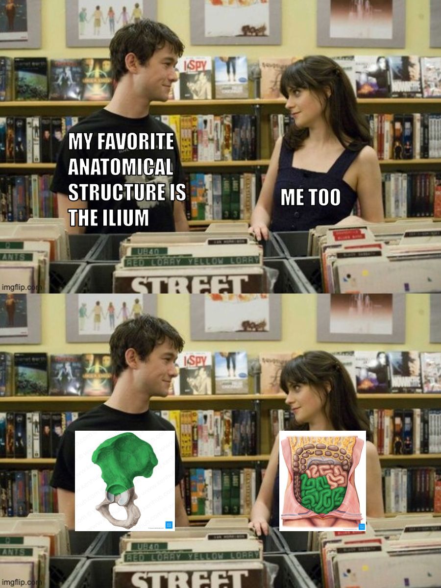 Anatomical Sciences Education tweet media