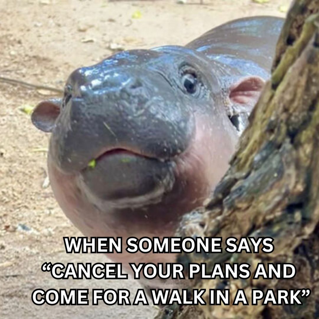 Calgary Parks (@calgaryparks) on Twitter photo 