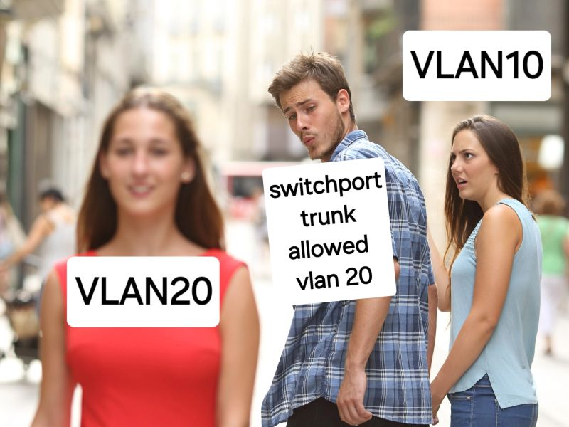 Richard Strnad tweet media