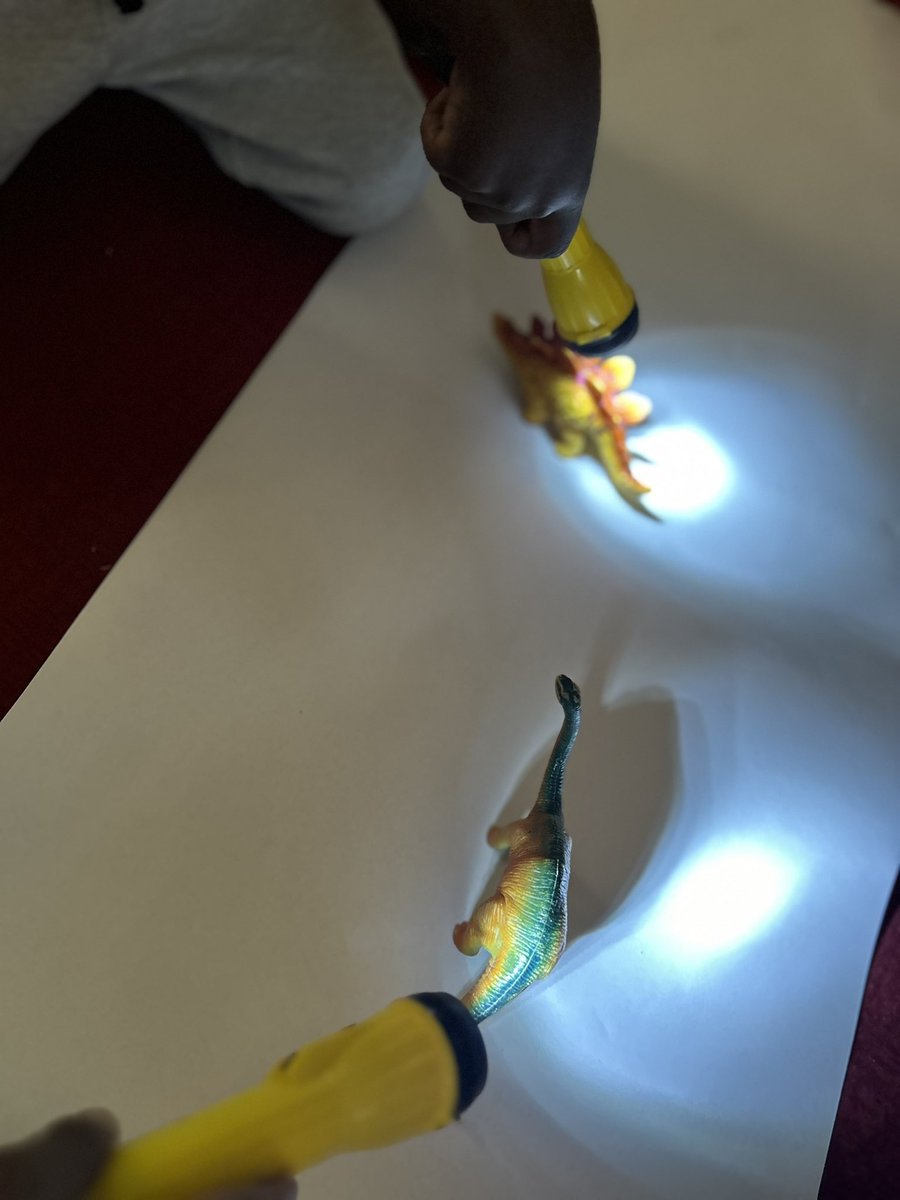 Exploring shadows with dinosaurs and torches was a lot of fun today. #BGEYFS