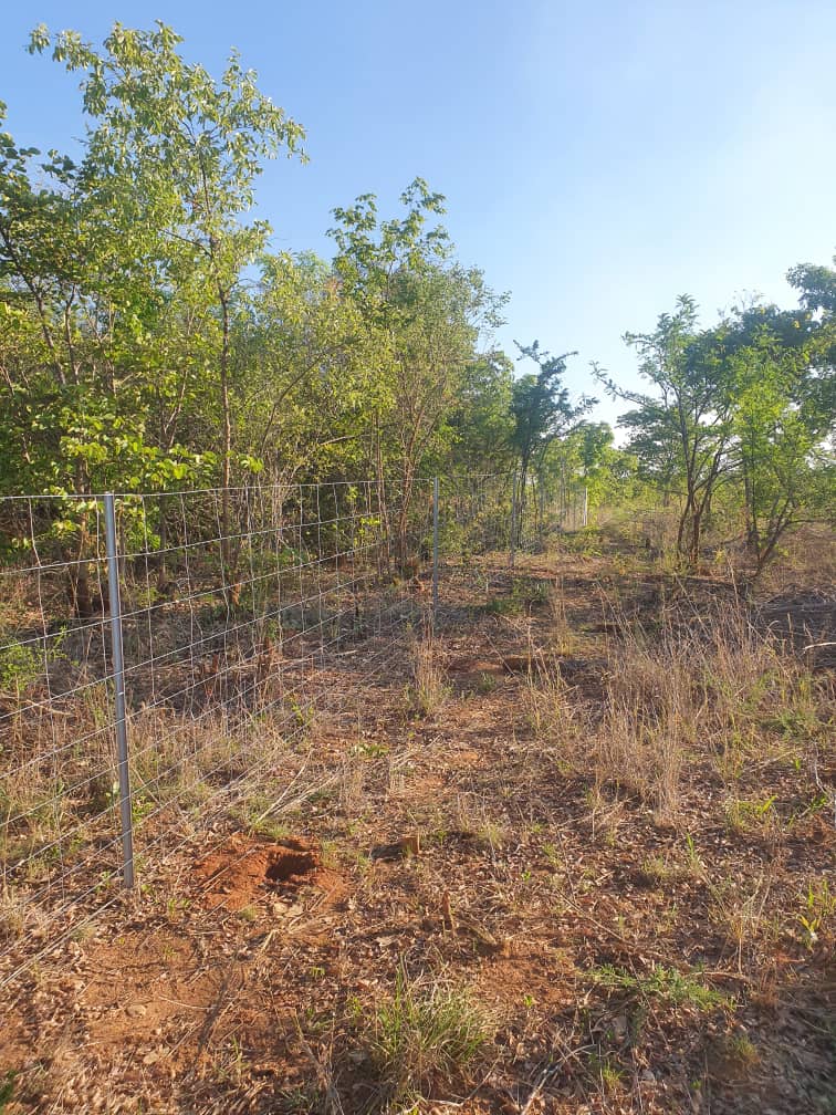 MusikaExpress's tweet image. Secured on Credit

Perimeter: 1860 m
Height: 1.5 m
Type: Field Fence
Location: Murehwa 

ALSO AVAILABLE ON CREDIT

1. Irrigation Equipment
2. Poultry Equipment
3. Horticultural Seeds
4. Farm Equipment 

ZERO DEPOSIT
UP TO $2000 CREDIT
UP TO 6 MONTHS TO PAY