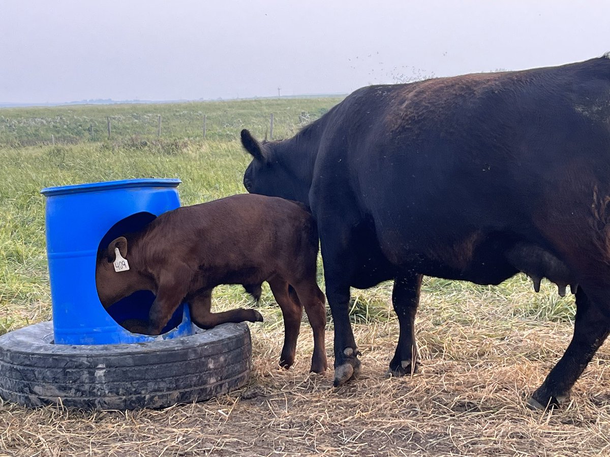 Yaremcio Ag Consulting Ltd. tweet media