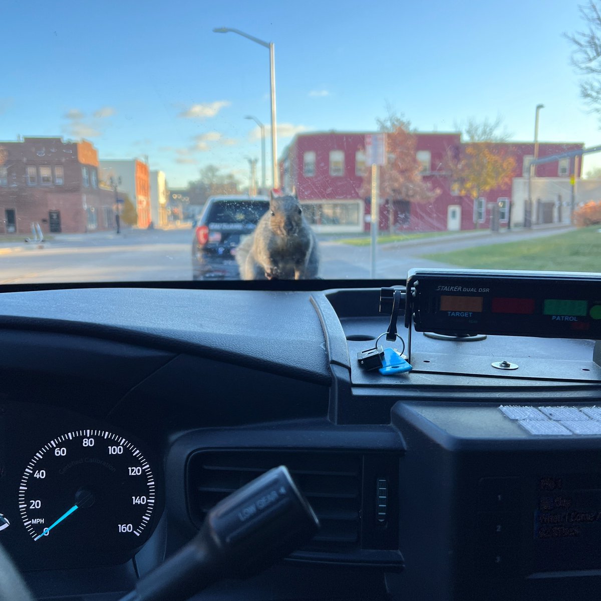 Pardon me officer, I seem to have misplaced my acorns. Mind helping a fella out?