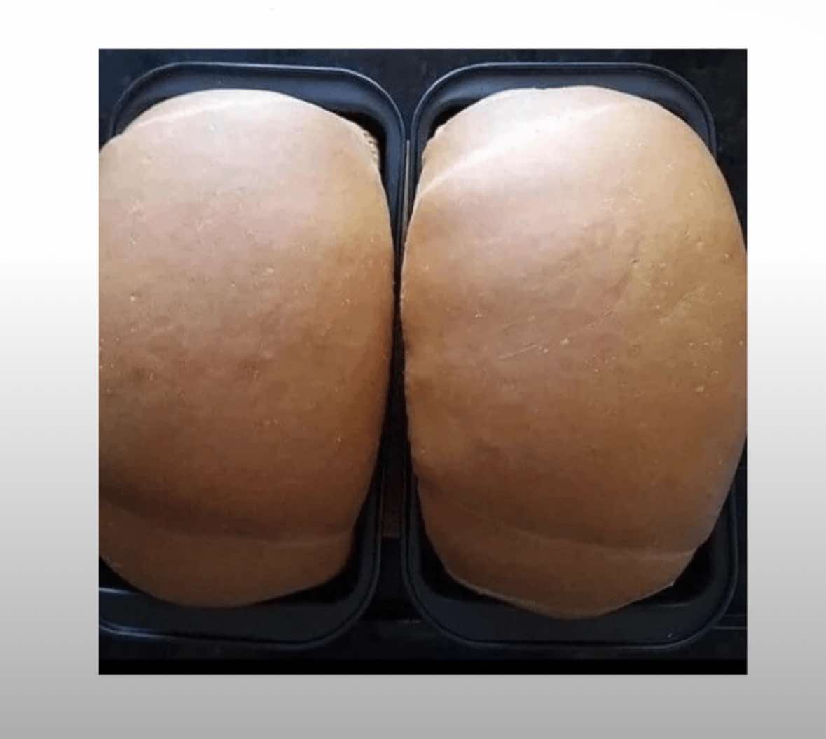 When you’re upset that Schmizza put Mike Tyson’s keister in your feed, but then realize this is just 2 loaves of bread.